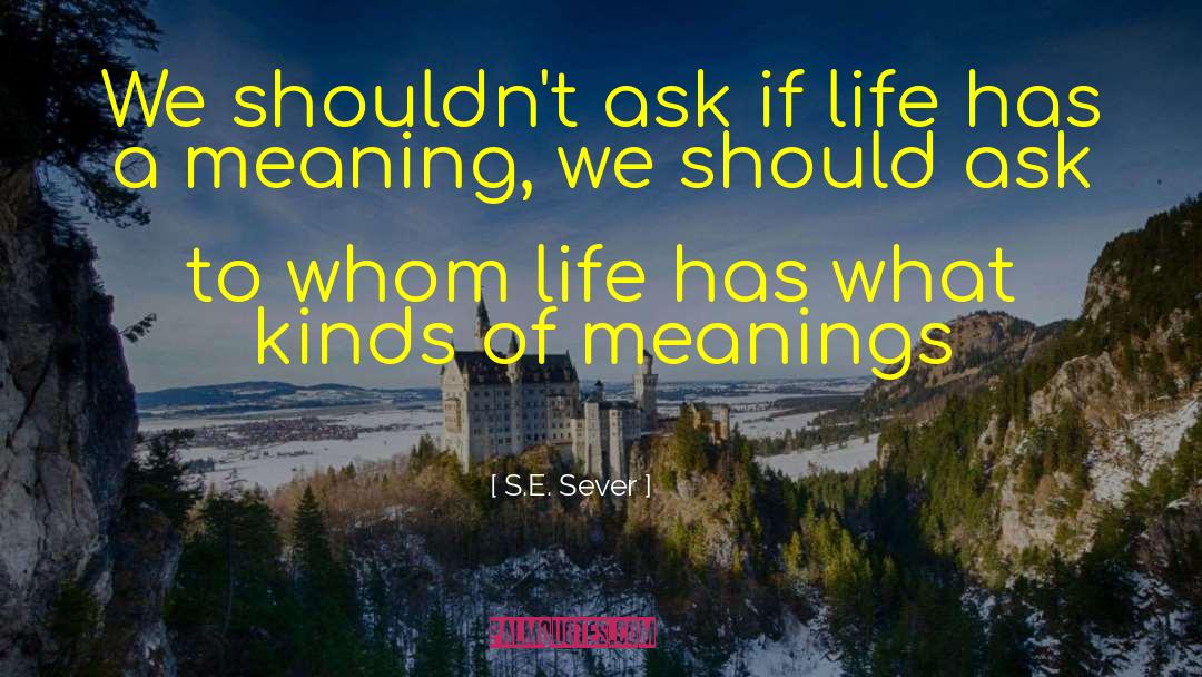 Has Meaning To It quotes by S.E. Sever