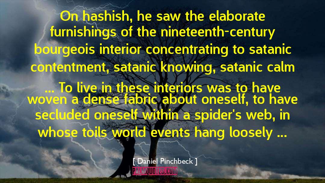 Hashish quotes by Daniel Pinchbeck