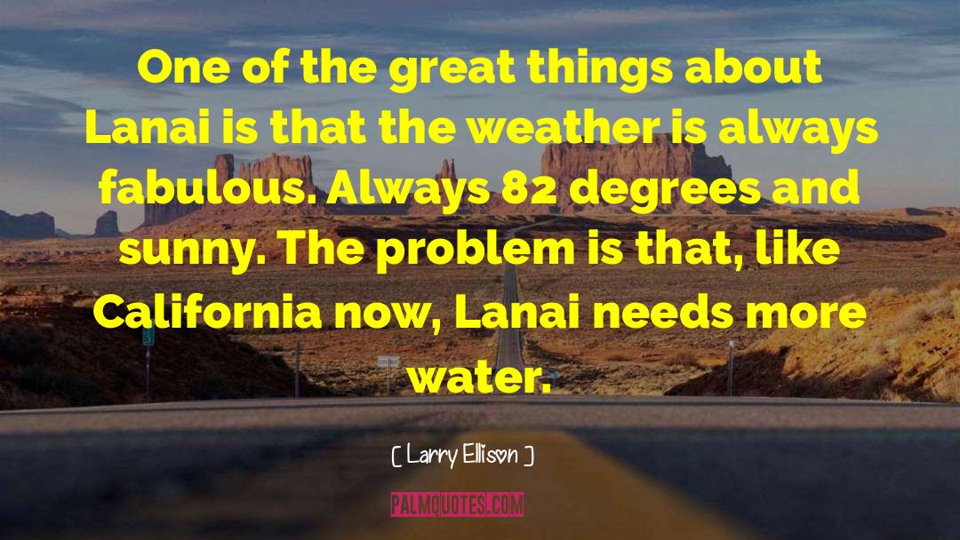 Hashmonaim Weather quotes by Larry Ellison