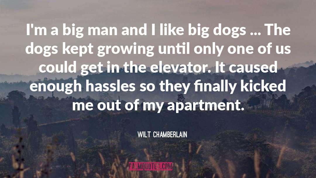 Hassles quotes by Wilt Chamberlain