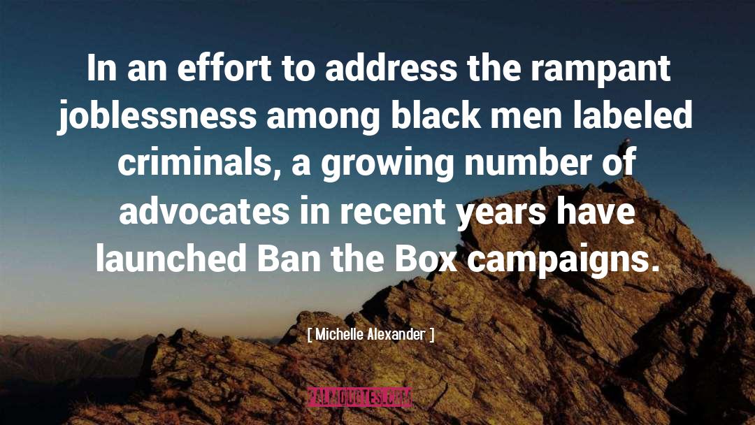 Hat Box quotes by Michelle Alexander