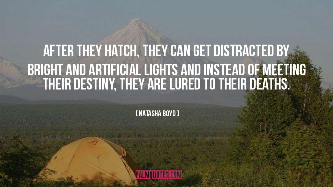 Hatch quotes by Natasha Boyd