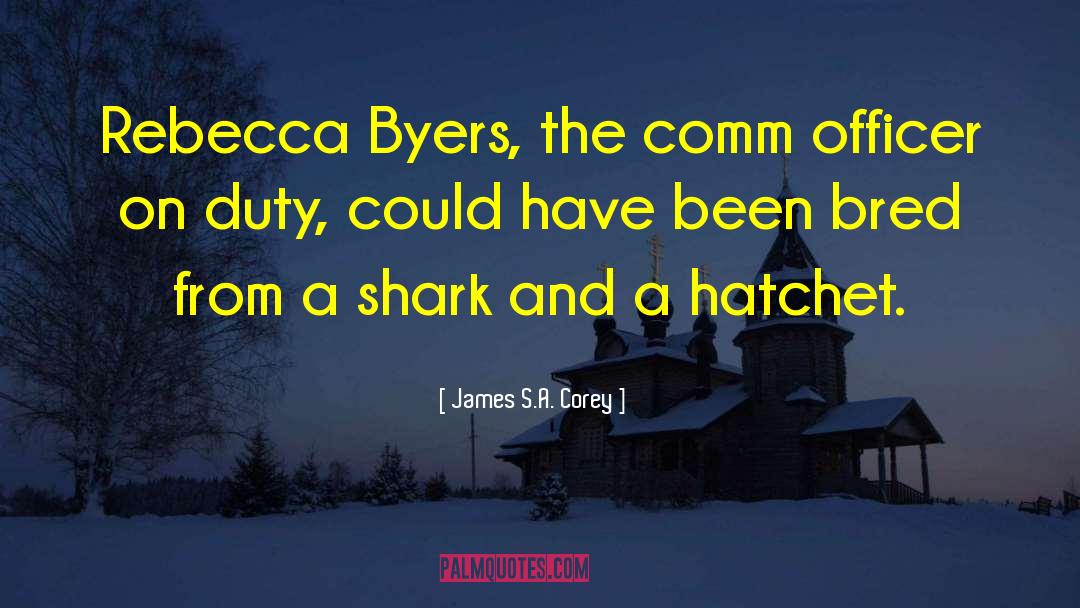 Hatchet quotes by James S.A. Corey