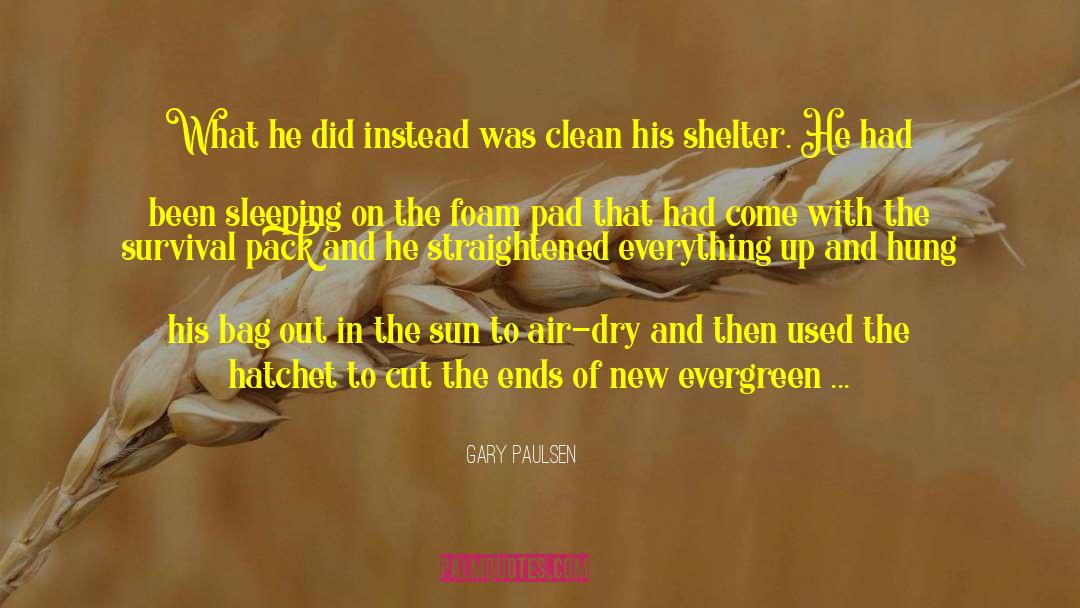 Hatchet quotes by Gary Paulsen