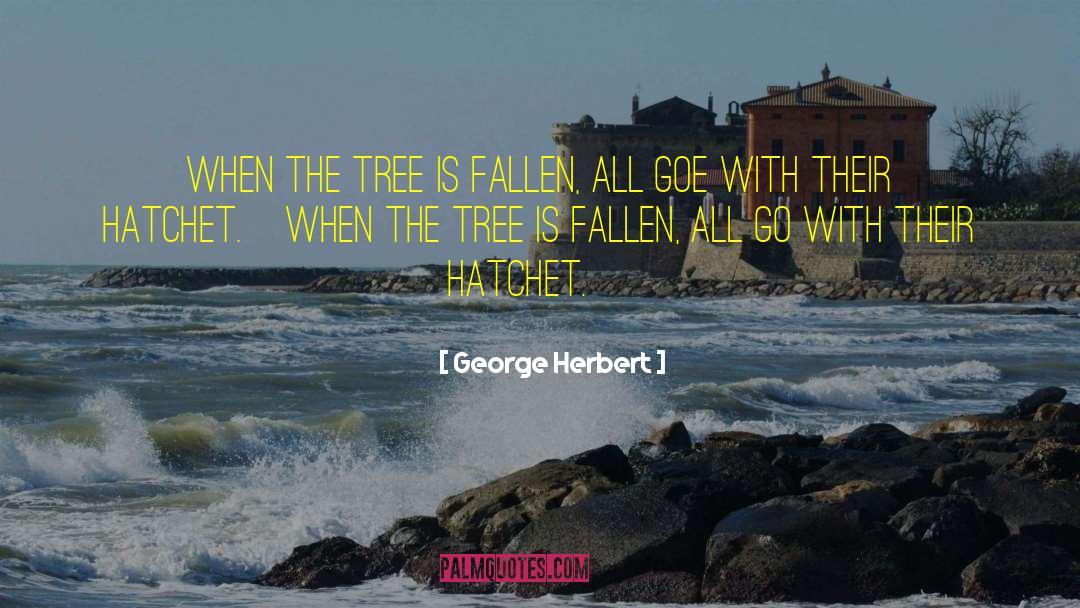 Hatchet quotes by George Herbert