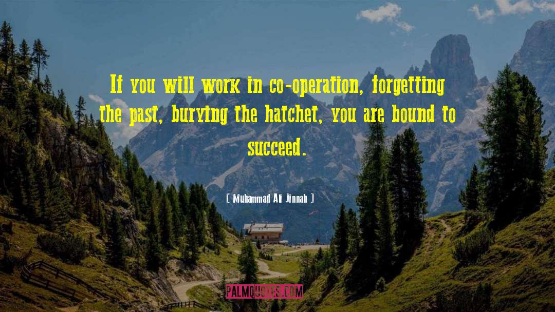 Hatchet quotes by Muhammad Ali Jinnah