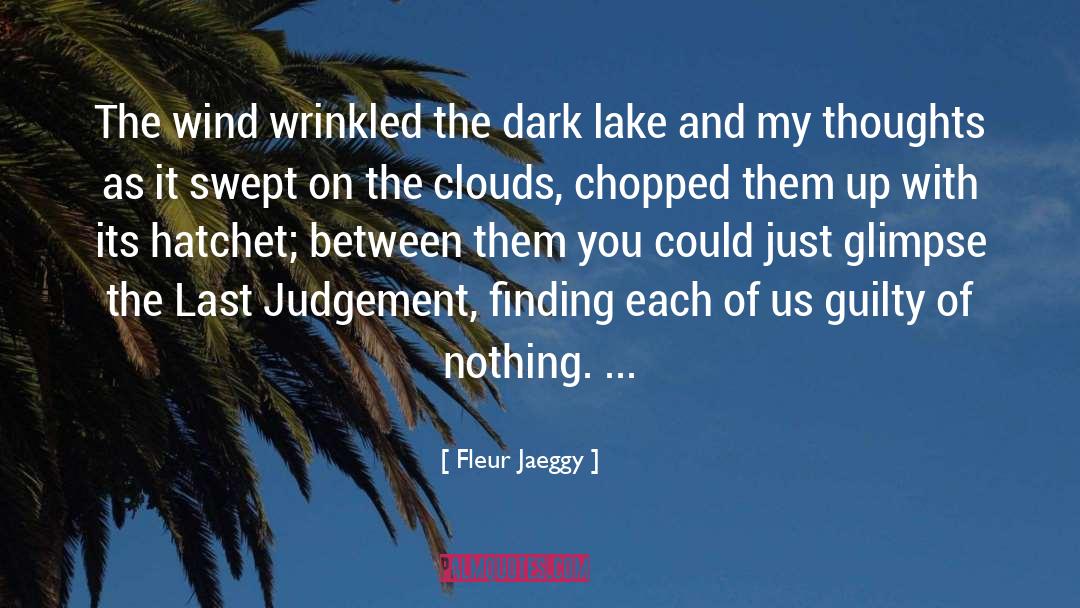 Hatchet quotes by Fleur Jaeggy