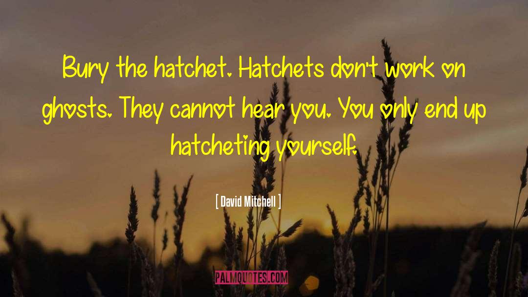 Hatchet quotes by David Mitchell