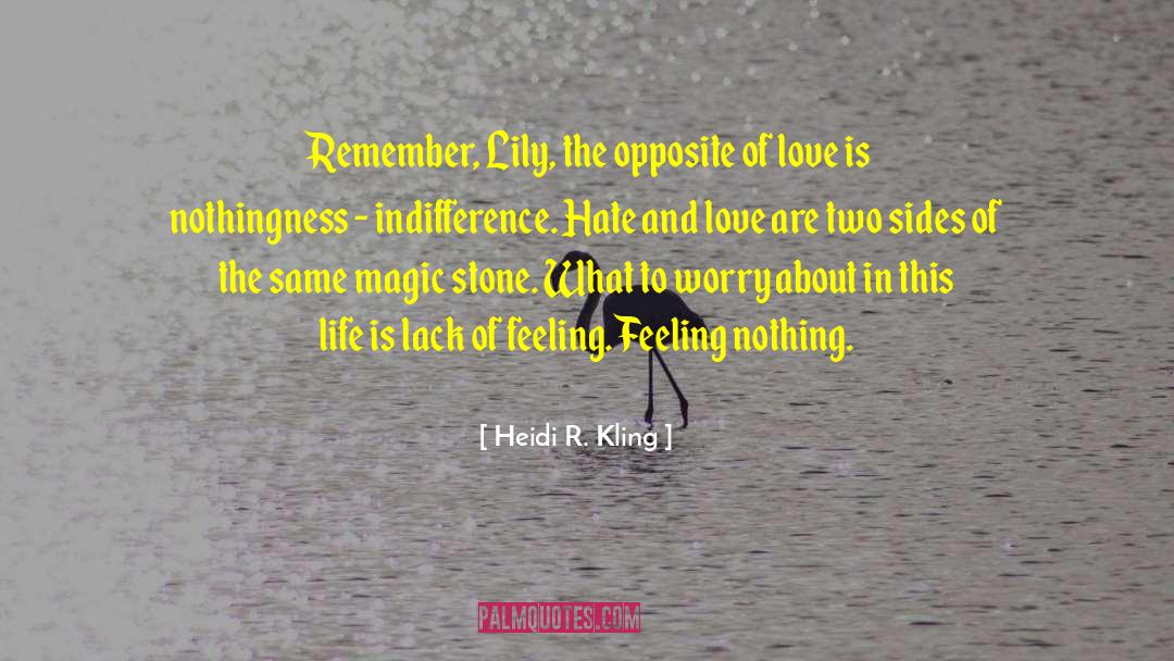 Hate And Love quotes by Heidi R. Kling