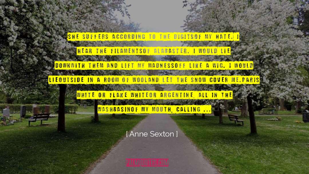 Hate And Violence quotes by Anne Sexton