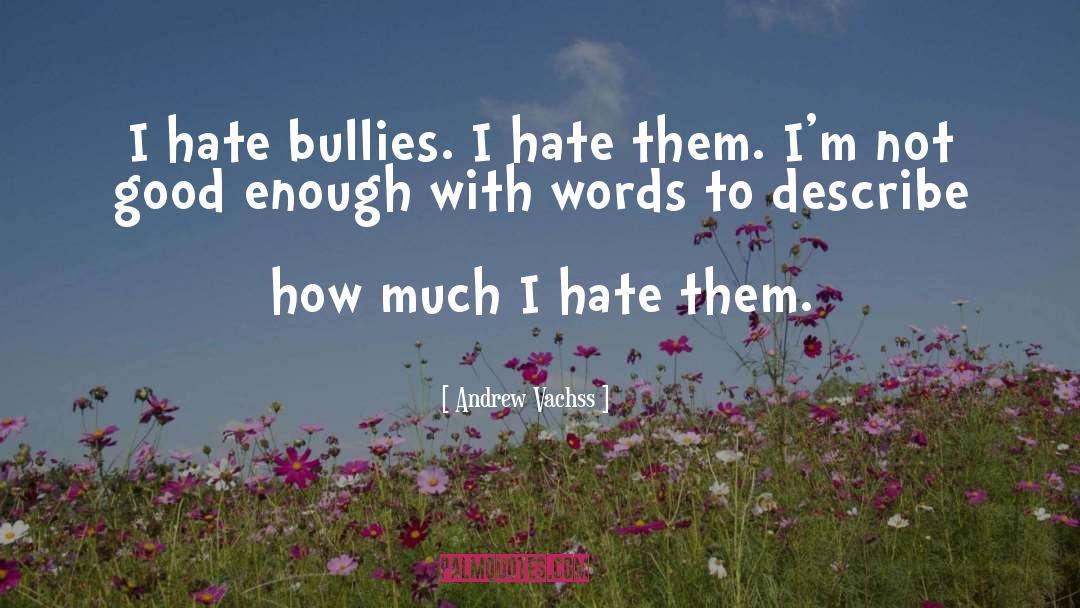 Hate Bullies quotes by Andrew Vachss
