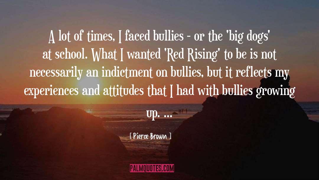 Hate Bullies quotes by Pierce Brown