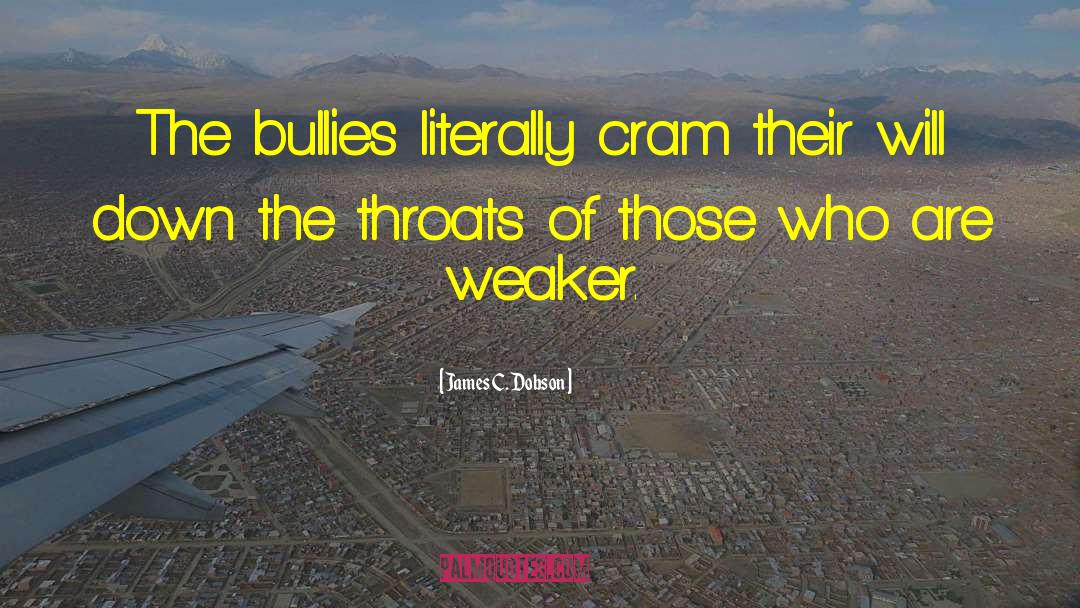 Hate Bullies quotes by James C. Dobson