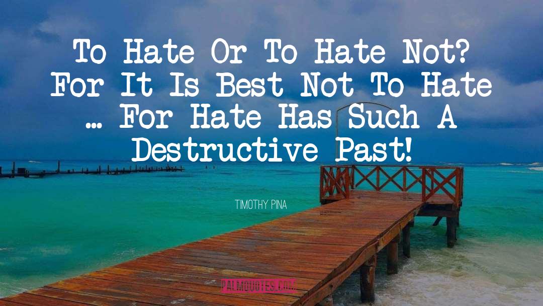 Hate Bullies quotes by Timothy Pina