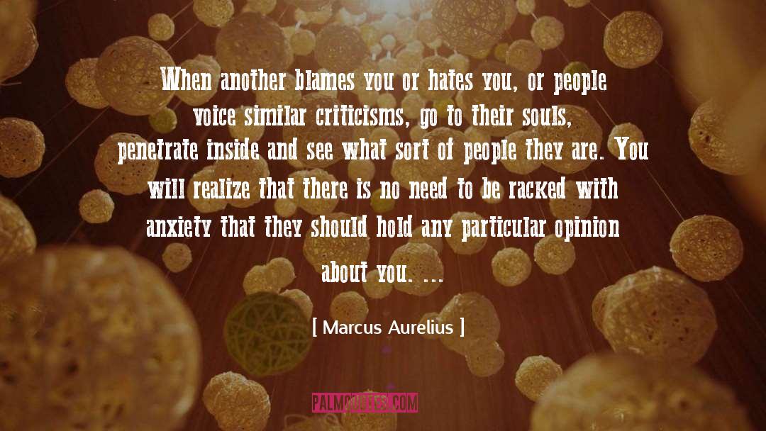 Hate Campaign quotes by Marcus Aurelius