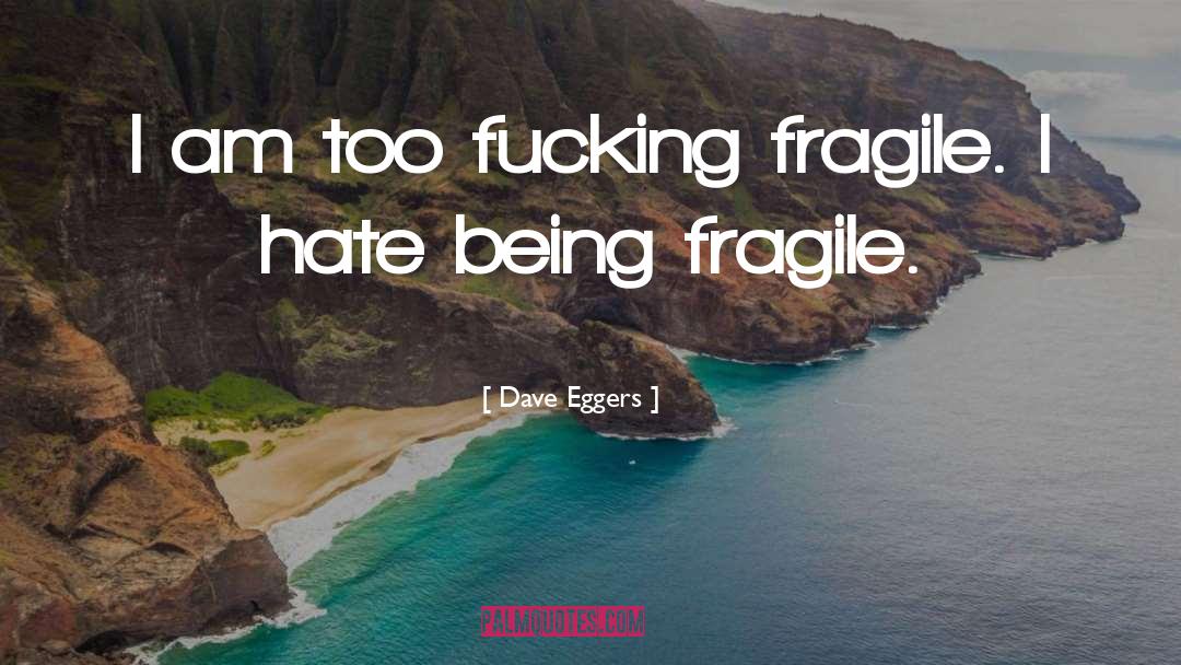 Hate Campaign quotes by Dave Eggers
