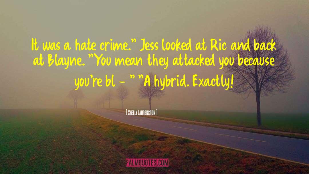 Hate Crime Hate Crimes quotes by Shelly Laurenston