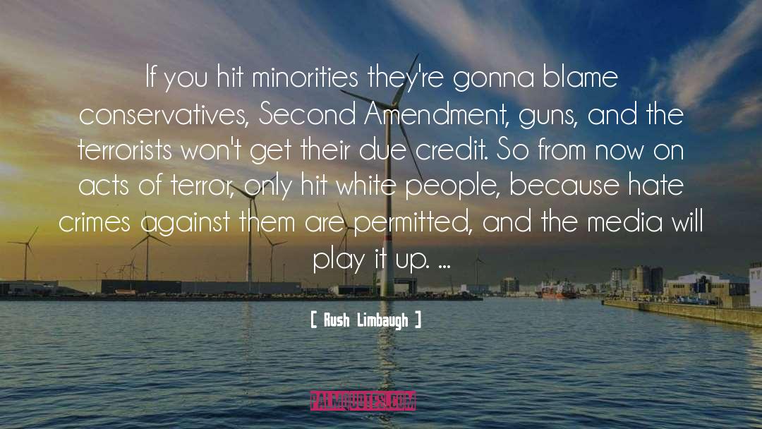 Hate Crimes quotes by Rush Limbaugh