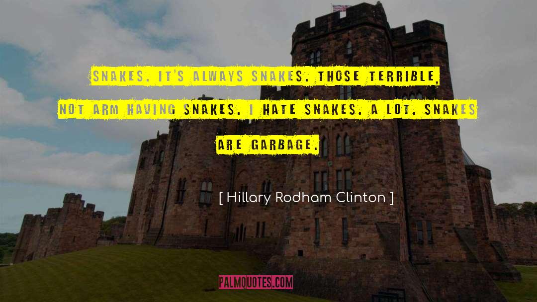 Hate Crimes quotes by Hillary Rodham Clinton