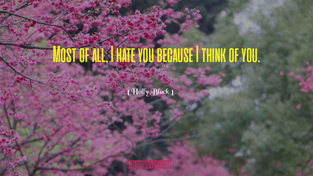 Hate Love quotes by Holly Black