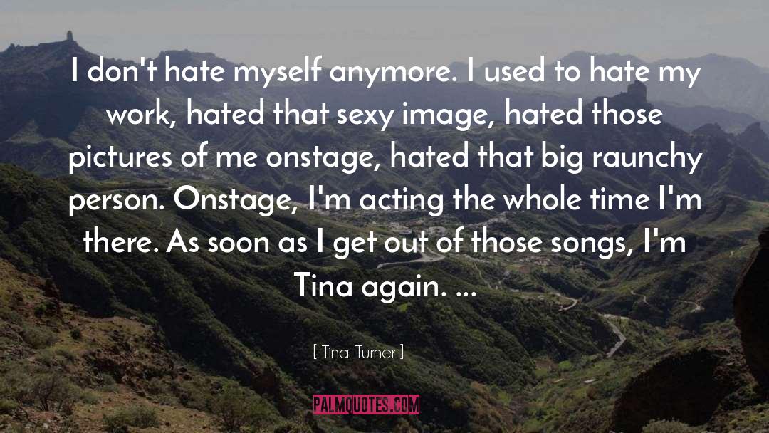 Hate Myself quotes by Tina Turner