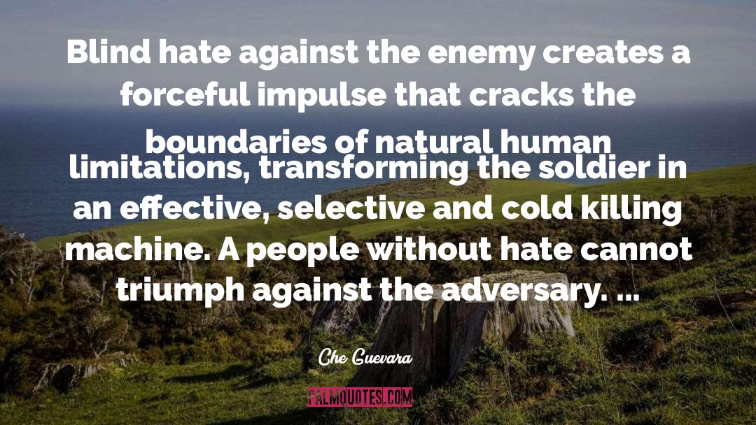 Hate People quotes by Che Guevara