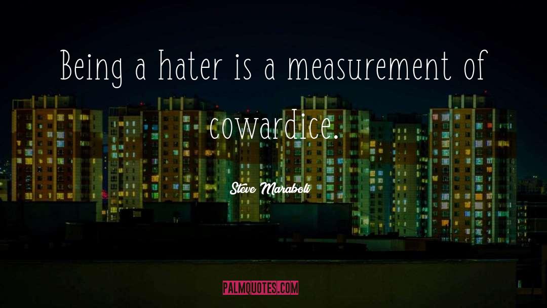 Hater quotes by Steve Maraboli