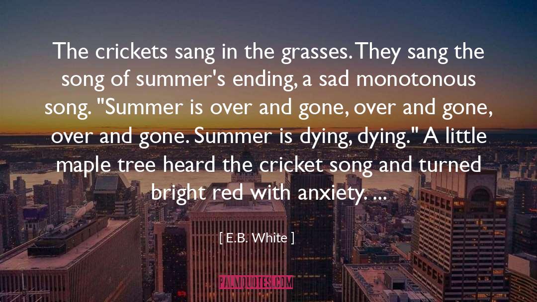 Haters And Crickets quotes by E.B. White