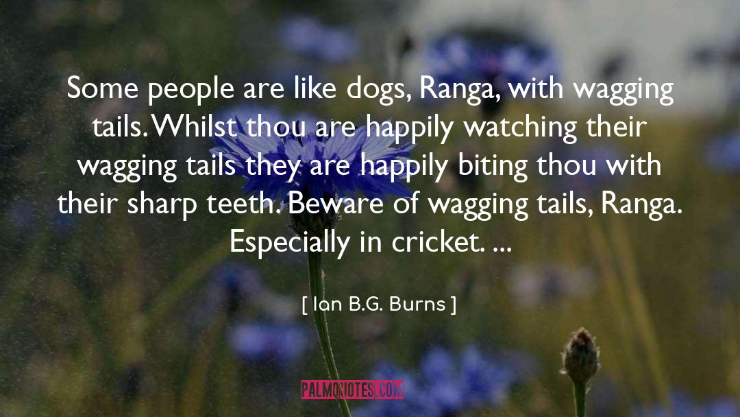 Haters Beware quotes by Ian B.G. Burns