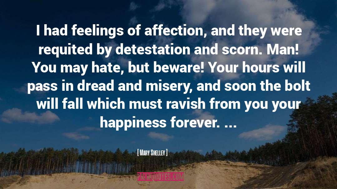 Haters Beware quotes by Mary Shelley