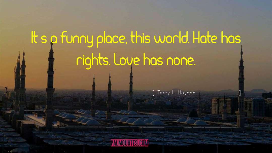 Haters Hate quotes by Torey L. Hayden