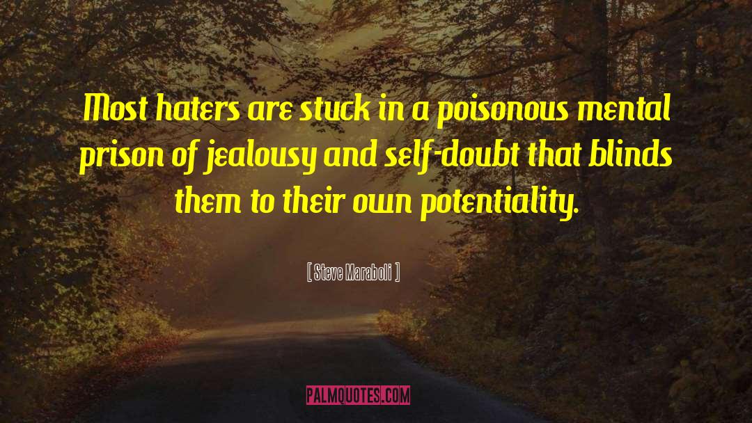 Haters quotes by Steve Maraboli