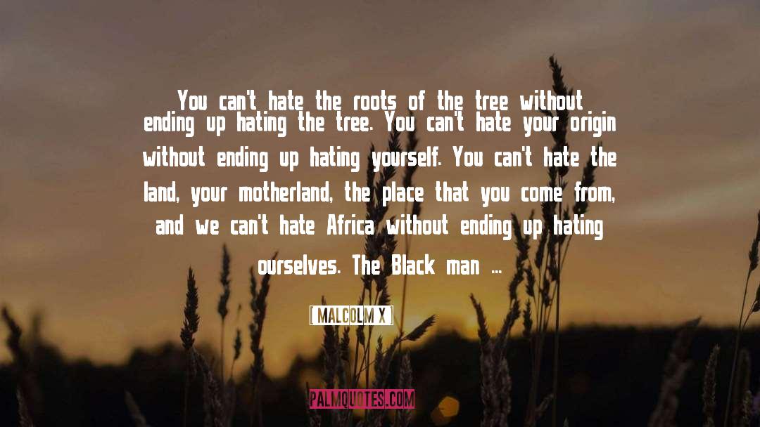 Hating On Winners quotes by Malcolm X