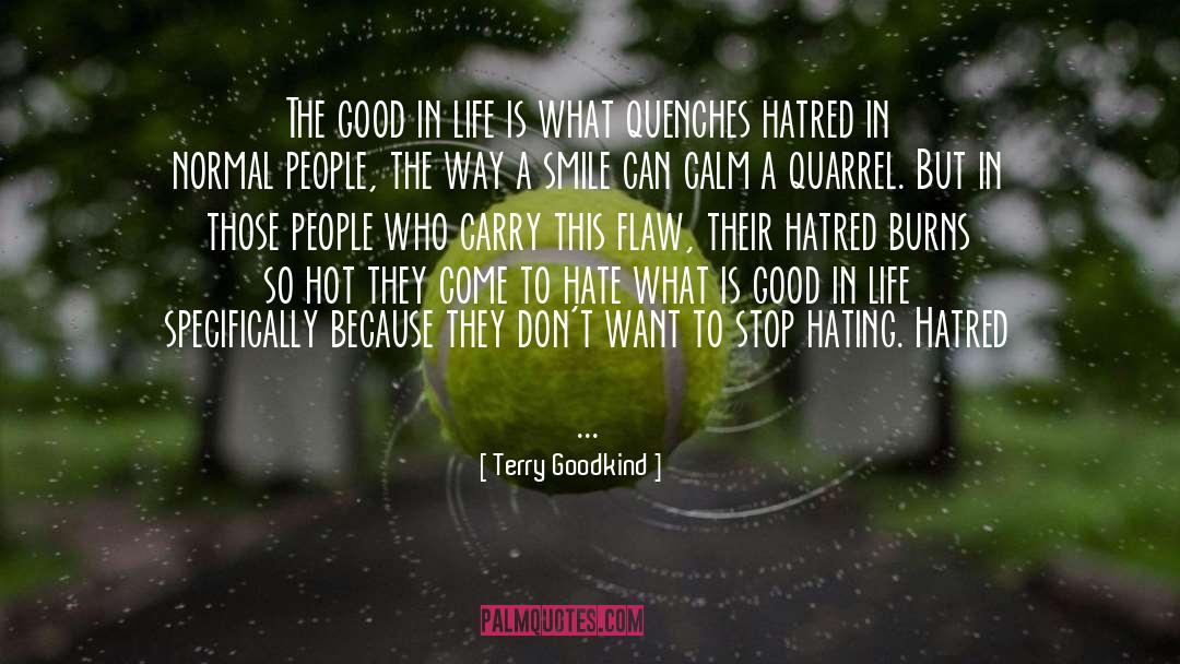 Hating Yourself quotes by Terry Goodkind