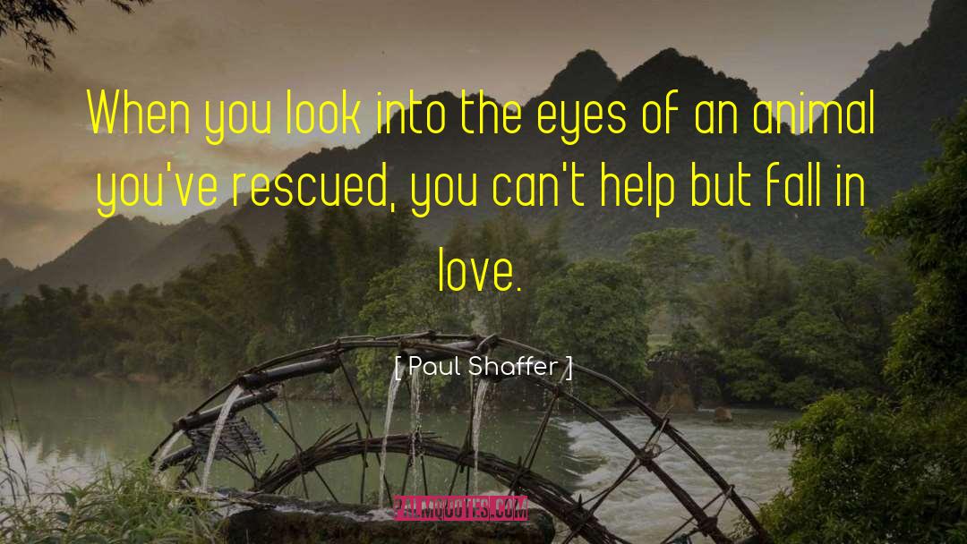 Hatred Into Love quotes by Paul Shaffer