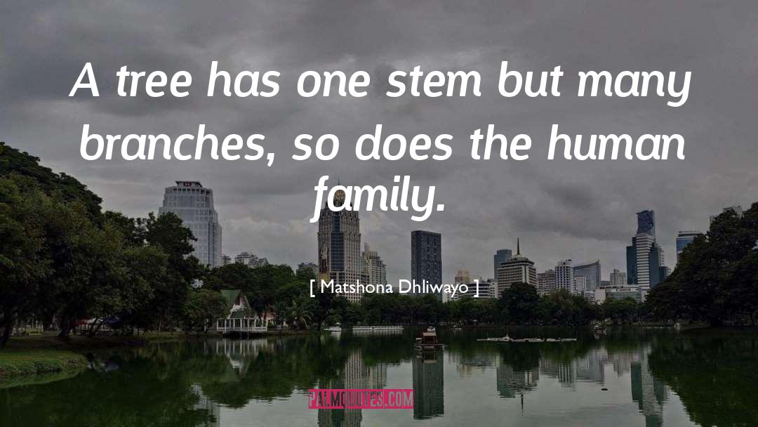 Haubrich Family Tree quotes by Matshona Dhliwayo