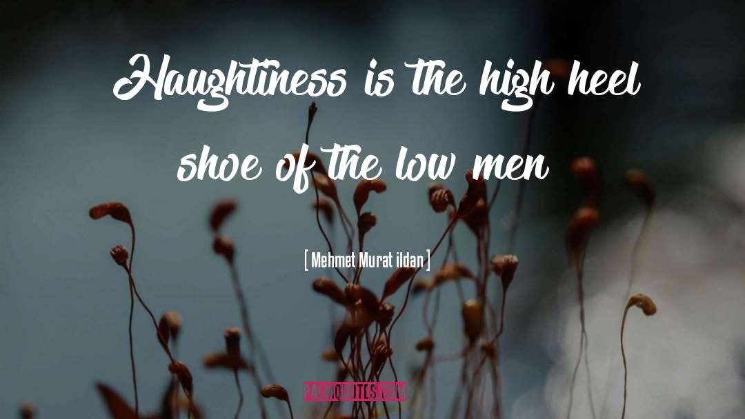 Haughtiness quotes by Mehmet Murat Ildan