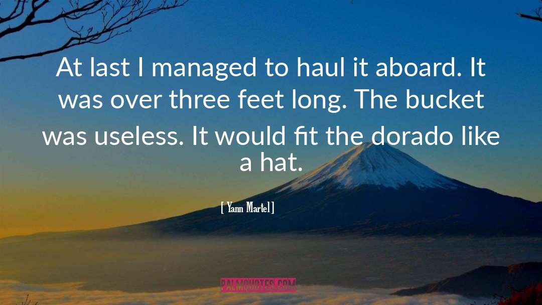 Haul quotes by Yann Martel