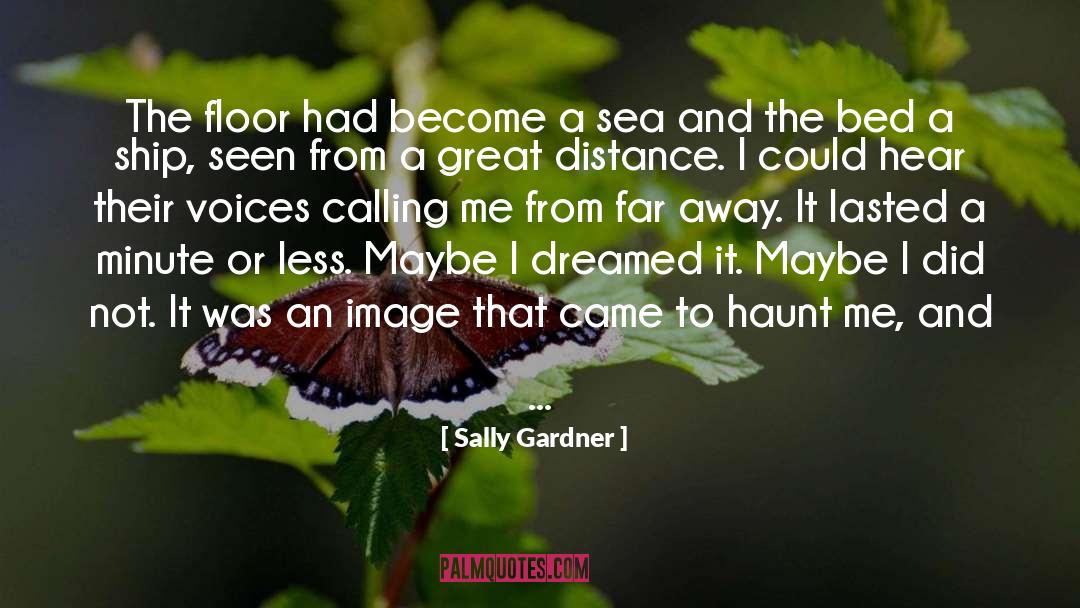 Haunt Me quotes by Sally Gardner