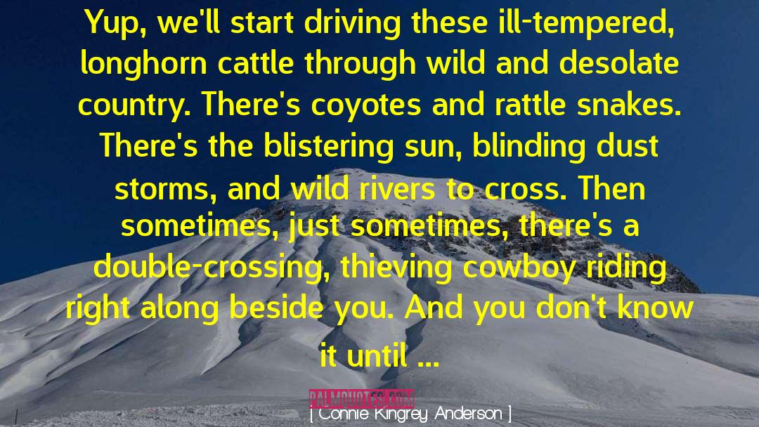 Haunted Cattle Drive quotes by Connie Kingrey Anderson