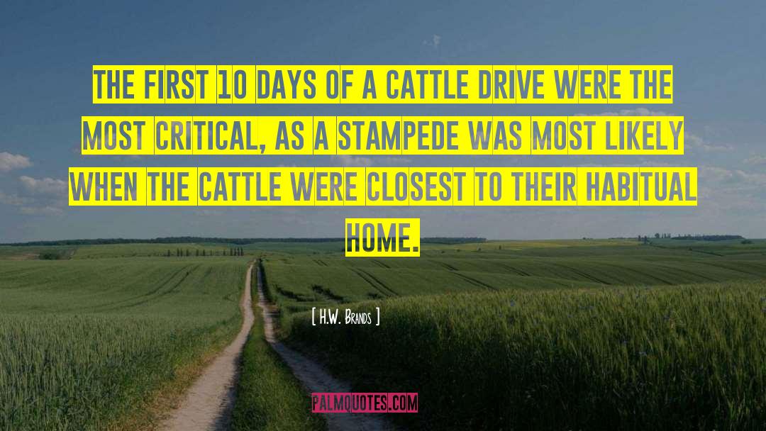 Haunted Cattle Drive quotes by H.W. Brands