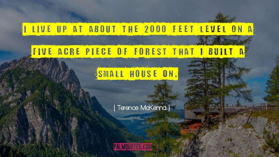 Haunted Forest quotes by Terence McKenna