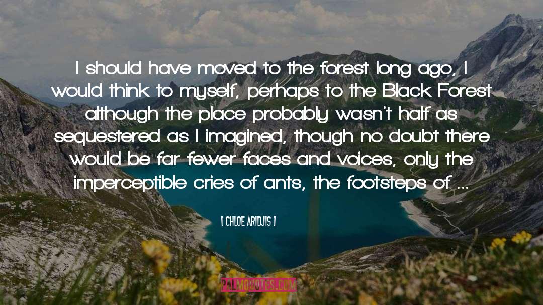 Haunted Forest quotes by Chloe Aridjis
