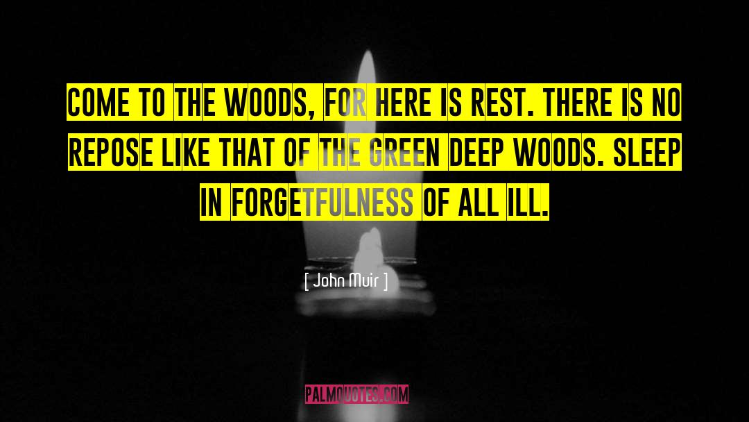 Haunted Forest quotes by John Muir