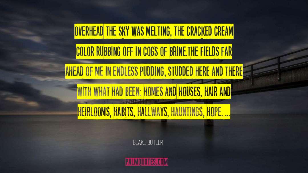 Hauntings quotes by Blake Butler