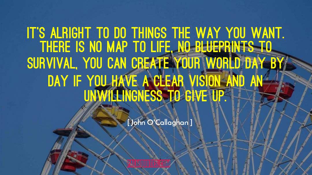 Have A Clear Vision quotes by John O'Callaghan