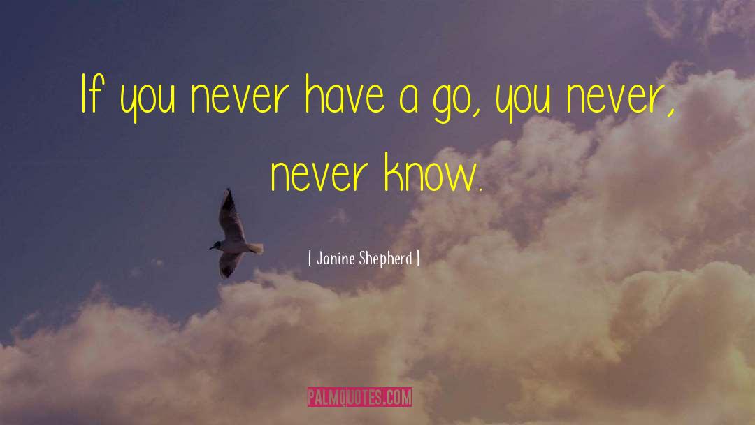 Have A Go quotes by Janine Shepherd