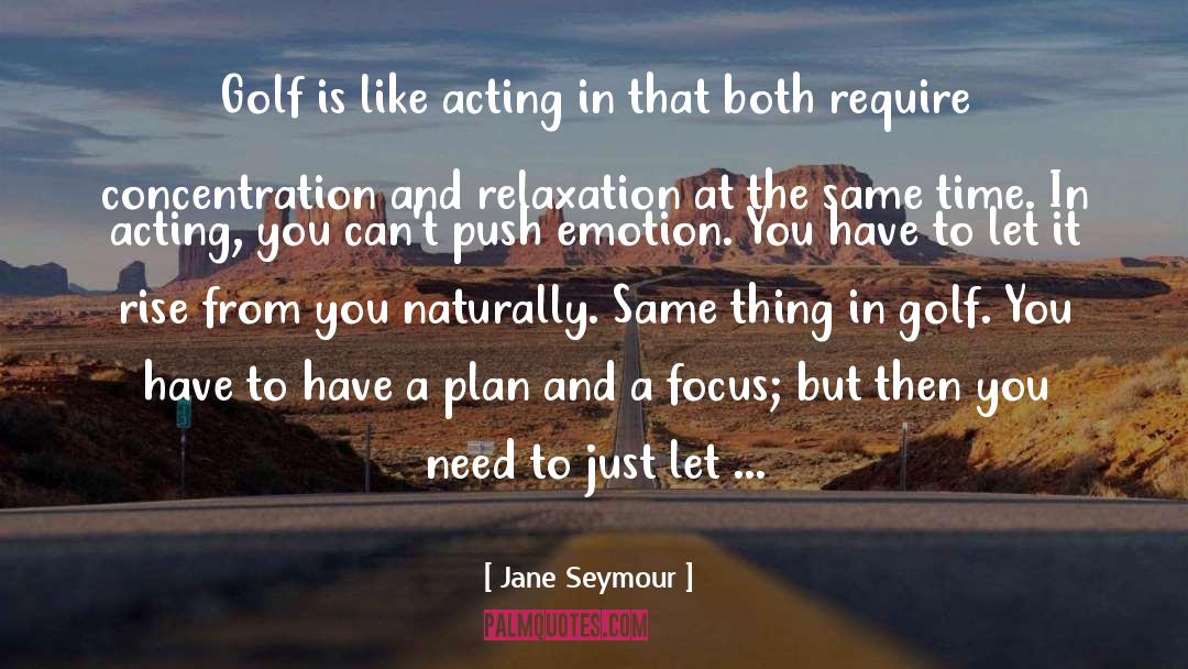 Have A Plan quotes by Jane Seymour