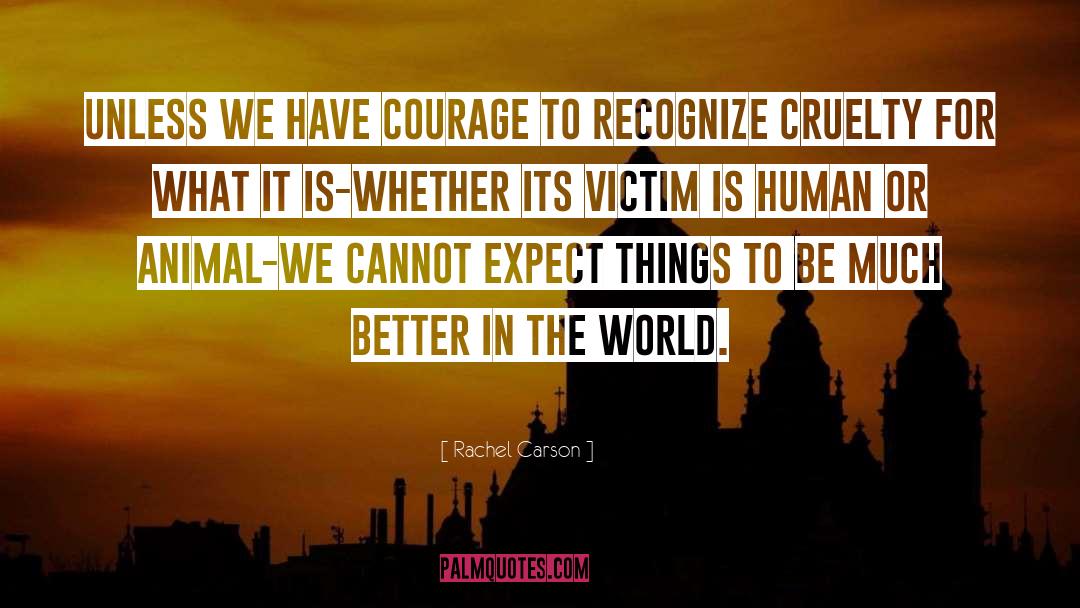 Have Courage quotes by Rachel Carson