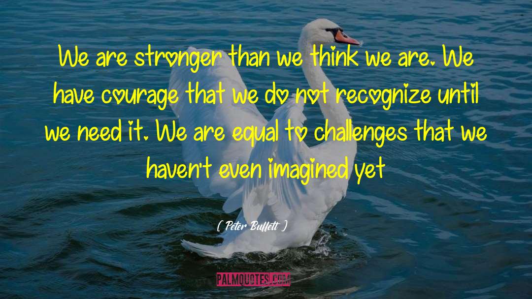 Have Courage quotes by Peter Buffett